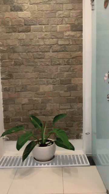 Cho thuê Căn hộ Chung cư Quận 3 Tp Hồ Chí Minh diện tích 40 m² giá 9 triệu/tháng