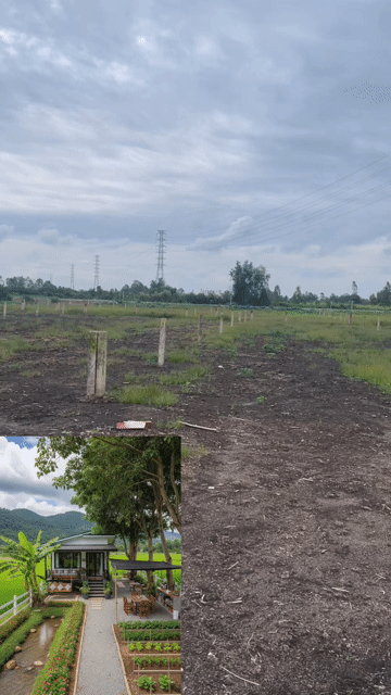 Mua bán Đất Huyện Bến Lức Long An diện tích 500 m² giá 580 triệu