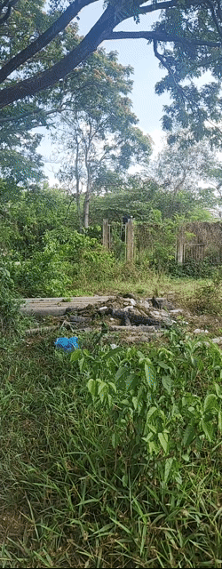 Mua bán Đất Huyện Bình Chánh Tp Hồ Chí Minh diện tích 500 m² giá 4,2 tỷ