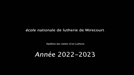 Le luthier et la mouche