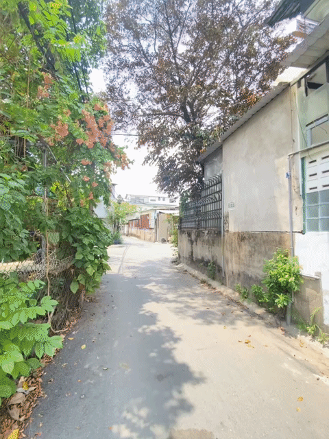 Cho thuê Căn hộ Chung cư Thành phố Thủ Đức Tp Hồ Chí Minh diện tích 35 m² giá 6 triệu/tháng
