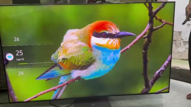 Tivi Samsung QA65Q800TA. Mua bán Tivi, Âm thanh tại Quận Tân Bình Tp Hồ Chí Minh được đăng bởi hồ hoàng triều hình 1