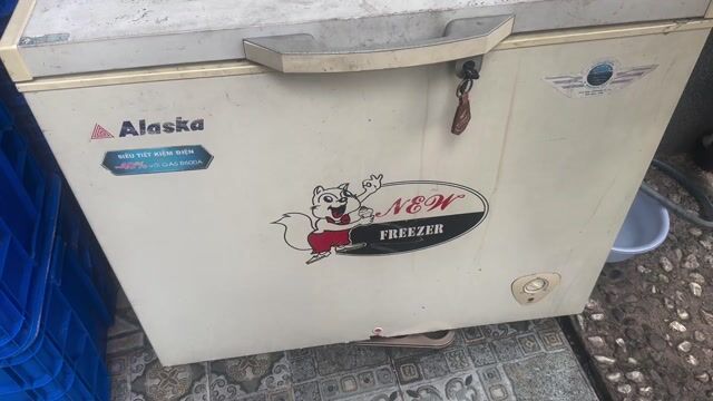 Tủ đông Alaska BD-300 Trắng 300 lít. Mua bán Tủ lạnh tại Thành phố Biên Hòa Đồng Nai được đăng bởi Đức Thuấn hình 1