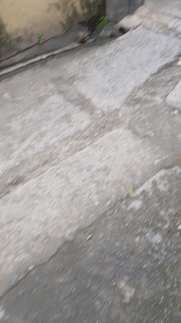 Cho thuê Nhà ở Quận 12 Tp Hồ Chí Minh diện tích 80 m² giá 4,5 triệu/tháng