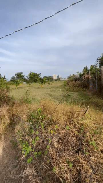 Mua bán Đất Huyện Ninh Phước Ninh Thuận diện tích 1284 m² giá 890 triệu
