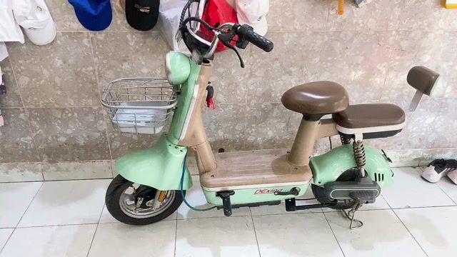 Xe đạp điện Dexing Xanh bạc hà. Mua bán Xe điện tại Quận 12 Tp Hồ Chí Minh được đăng bởi Hiếu 02 hình 1