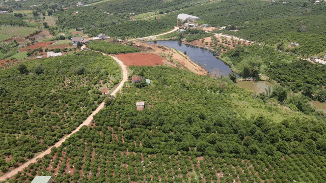 Mua bán Đất Huyện Lâm Hà Lâm Đồng diện tích 2000 m² giá 2 tỷ