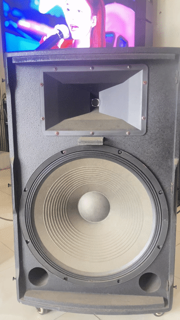 Loa karaoke Nanomax bass 50 Đen. Mua bán Tivi, Âm thanh tại Huyện Châu Đức Bà Rịa - Vũng Tàu được đăng bởi THANG hình 1