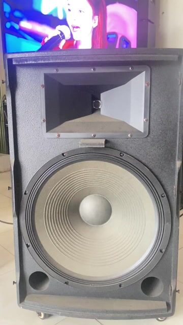 Loa karaoke Nanomax bass 50 Đen. Mua bán Tivi, Âm thanh tại Huyện Châu Đức Bà Rịa - Vũng Tàu được đăng bởi THANG hình 1