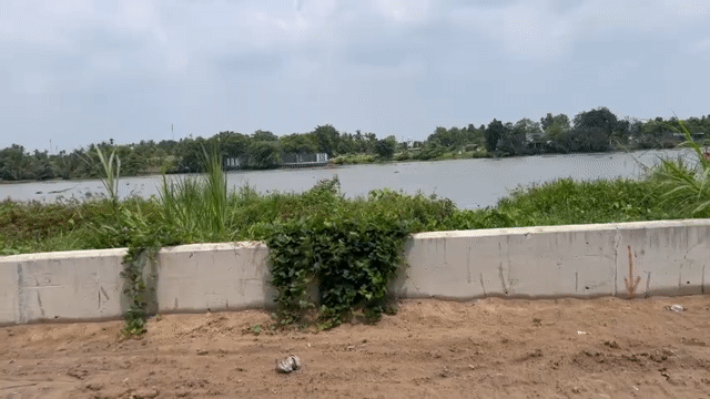 Mua bán Đất Huyện Hóc Môn Tp Hồ Chí Minh diện tích 5000 m² giá 55 tỷ