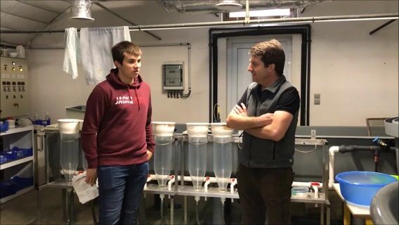 Pisciculture d'étang