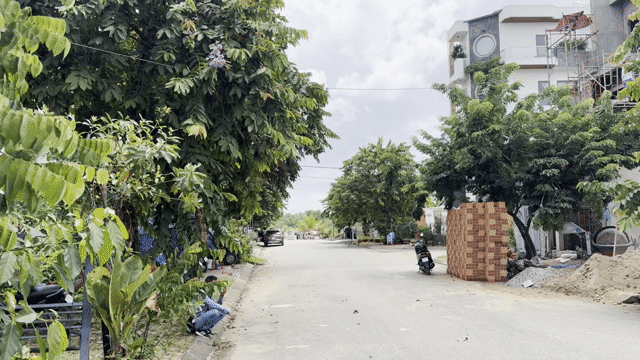 Mua bán Đất Thành phố Thủ Đức Tp Hồ Chí Minh diện tích 63.5998 m² giá 3 tỷ