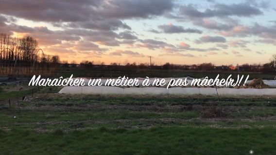Maraîcher un métier à ne pas mâcher