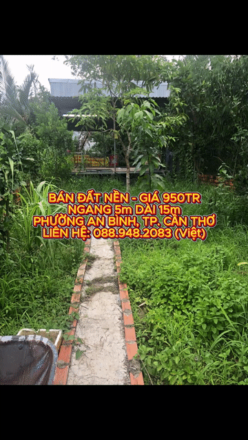 Mua bán Đất Quận Ninh Kiều Cần Thơ diện tích 80 m² giá 950 triệu