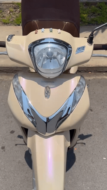 Honda SH Mode 2017 Nâu kem 9 chủ. Mua bán Xe máy tại Quận Bình Tân Tp Hồ Chí Minh được đăng bởi Lạc Giữa Chợ hình 1