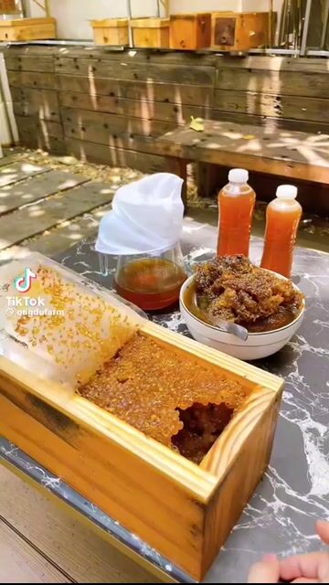 Tổ ong dú có ong chúa. Mua bán Đồ ăn, thực phẩm và các loại khác tại Quận 6 Tp Hồ Chí Minh được đăng bởi Nhi hình 1