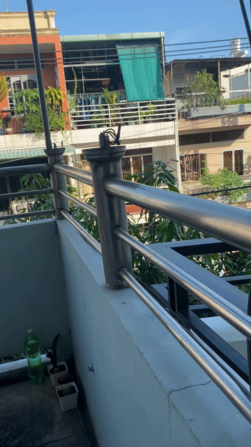 Cho thuê Phòng trọ Quận Tân Bình Tp Hồ Chí Minh diện tích 18 m² giá 3 triệu/tháng