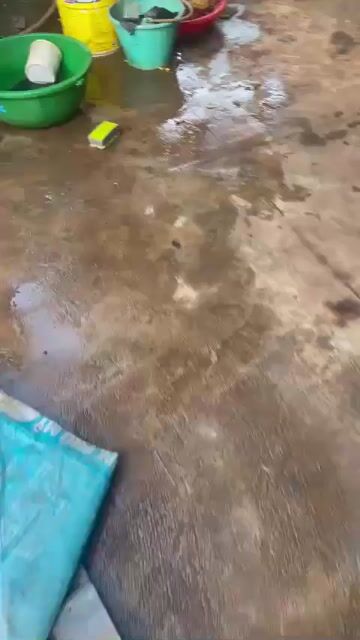 xe cày vô lăng. Mua bán Phương tiện khác tại Thành phố Buôn Ma Thuột Đắk Lắk được đăng bởi Phạm Phương hình 1