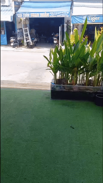 Cho thuê Văn phòng, Mặt bằng kinh doanh Quận 12 Tp Hồ Chí Minh diện tích 70 m² giá 7,5 triệu/tháng