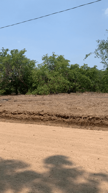 Mua bán Đất Thành phố Đồng Xoài Bình Phước diện tích 1000 m² giá 155 triệu