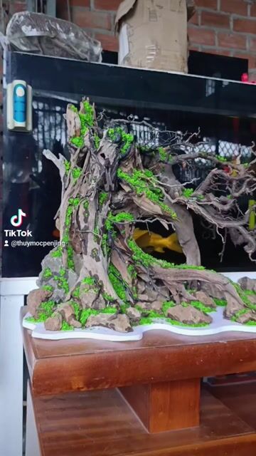 Layout bể cá Gỗ lũa đá núi lửa 1m2. Mua bán Phụ kiện, Thức ăn, Dịch vụ tại Thị xã Phú Mỹ Bà Rịa - Vũng Tàu được đăng bởi Pets  hình 1