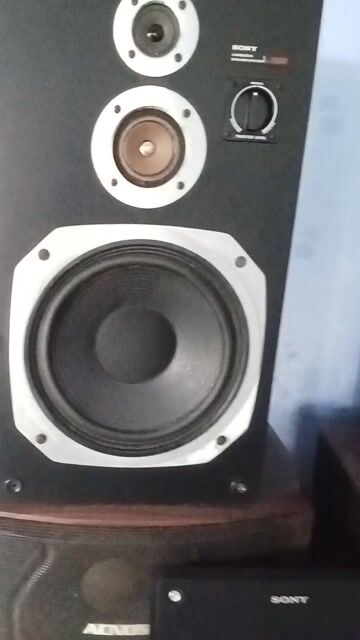 Loa Sony SS 3150M màu đen. Mua bán Tivi, Âm thanh tại Huyện Phú Vang Thừa Thiên Huế được đăng bởi Trương Văn Nam hình 1