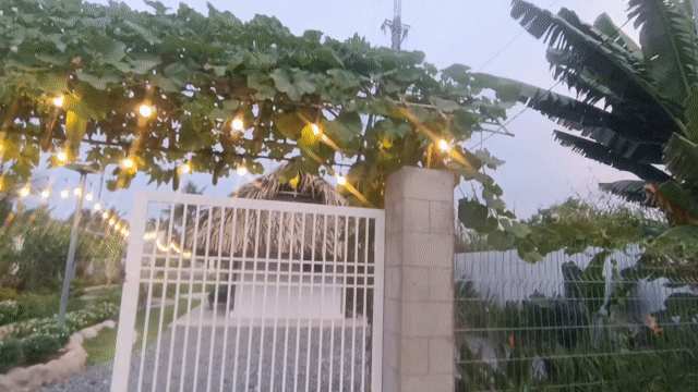 Mua bán Nhà ở Huyện Châu Thành Bến Tre diện tích 508 m² giá 2,15 tỷ
