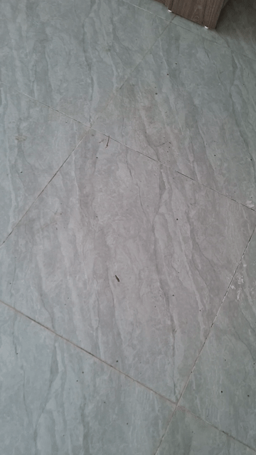 Cho thuê Căn hộ Chung cư Quận Thanh Xuân Hà Nội diện tích 25 m² giá 4,5 triệu/tháng
