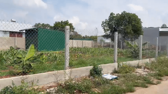Mua bán Đất Thành phố Buôn Ma Thuột Đắk Lắk diện tích 100 m² giá 3,48 tỷ