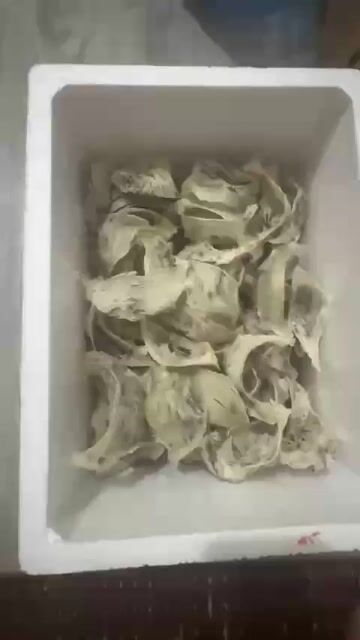 Tổ yến Vũng Tàu 1kg Yến già Tổ thô giá 11 triệu. Mua bán Đồ ăn, thực phẩm và các loại khác tại Quận 1 Tp Hồ Chí Minh được đăng bởi Phạm An Khánh hình 1