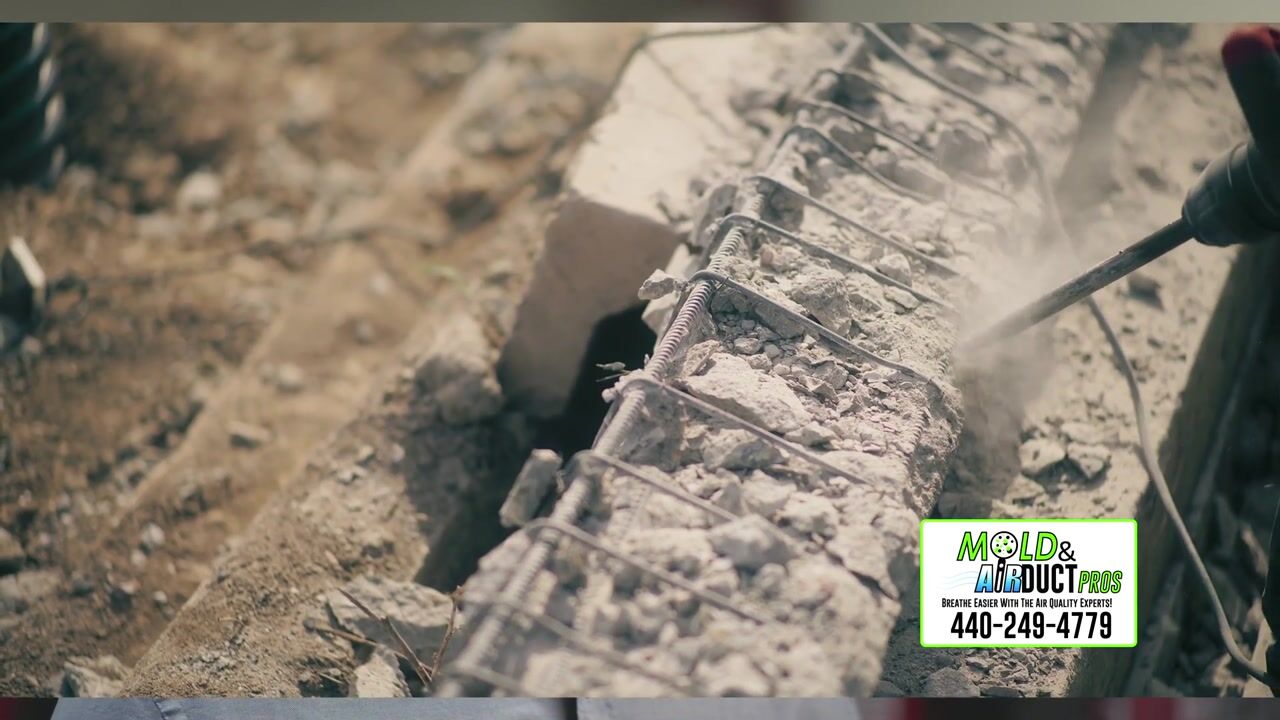 Video preview: Why Do Different Mold Companies Charge Differently?