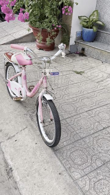 Xe đạp Be gai 4-8t. Mua bán Xe đạp tại Thành phố Thủ Đức Tp Hồ Chí Minh được đăng bởi Mr Phi Nguyen  hình 1