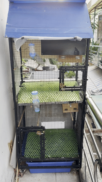 lồng chim avi mini. Mua bán Phụ kiện, Thức ăn, Dịch vụ tại Quận Bình Thạnh Tp Hồ Chí Minh được đăng bởi Minh Tuấn  hình 1