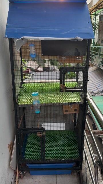 lồng chim avi mini. Mua bán Phụ kiện, Thức ăn, Dịch vụ tại Quận Bình Thạnh Tp Hồ Chí Minh được đăng bởi Minh Tuấn  hình 1