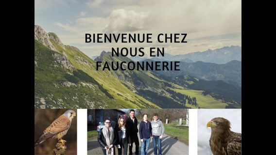 Bienvenue chez nous en fauconnerie