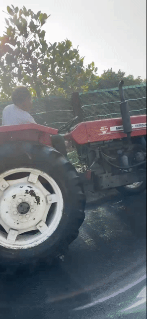 Đầu xe máy cày Massey Ferguson Đỏ. Mua bán Phương tiện khác tại Thành phố Bà Rịa Bà Rịa - Vũng Tàu được đăng bởi Tuyết hình 1