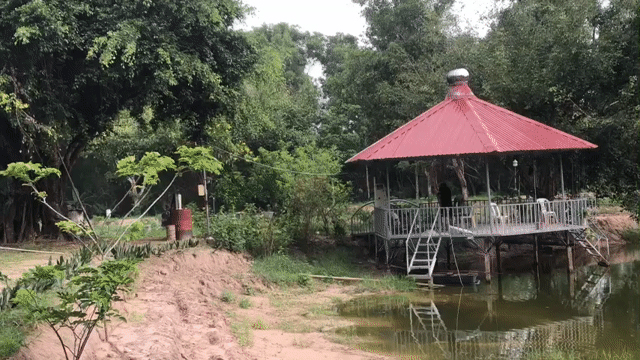 Mua bán Đất Thị xã La Gi Bình Thuận diện tích 31.111 m² giá 6,5 tỷ