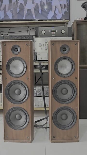Loa cột Continental RT-951 Gỗ Nâu. Mua bán Tivi, Âm thanh tại Thành phố Thủ Đức Tp Hồ Chí Minh được đăng bởi AN NHÂN AUDIOPHILE hình 1