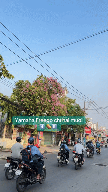 YAMAHA FREEGO S 125 ĐỜI 2024 -XE CHÍNH CHỦ. Mua bán Xe máy tại Thành phố Thủ Đức Tp Hồ Chí Minh được đăng bởi Xe máy Anh Thư hình 1