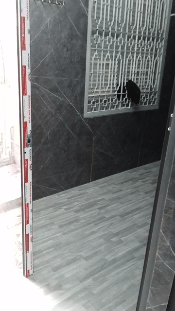 Cho thuê Phòng trọ Quận 1 Tp Hồ Chí Minh diện tích 10 m² giá 1,7 triệu/tháng
