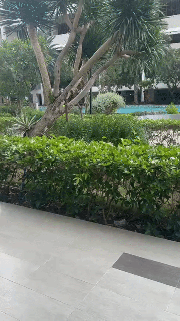 Mua bán Căn hộ Chung cư LuxGarden Quận 7 Tp Hồ Chí Minh diện tích 143 m² giá 12 tỷ