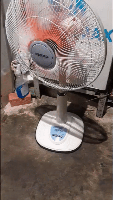 Quạt đứng SENKO Trắng, Cam. Mua bán Quạt tại Quận Gò Vấp Tp Hồ Chí Minh được đăng bởi Hiểu Kiều hình 1