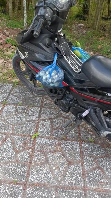 Yamaha Exciter màu Đen. Mua bán Xe máy tại Huyện Chợ Lách Bến Tre được đăng bởi Hung Nguyễn hình 1