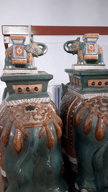 Đôn Voi 🐘🐘🐘. Mua bán Cây cảnh, đồ trang trí tại Thành phố Biên Hòa Đồng Nai được đăng bởi Phúc Khang hình 1