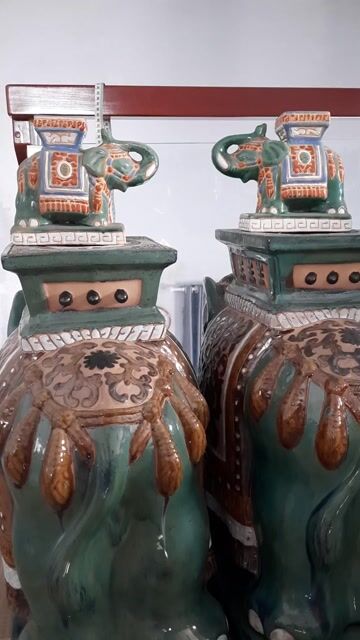 Đôn Voi 🐘🐘🐘. Mua bán Cây cảnh, đồ trang trí tại Thành phố Biên Hòa Đồng Nai được đăng bởi Phúc Khang hình 1