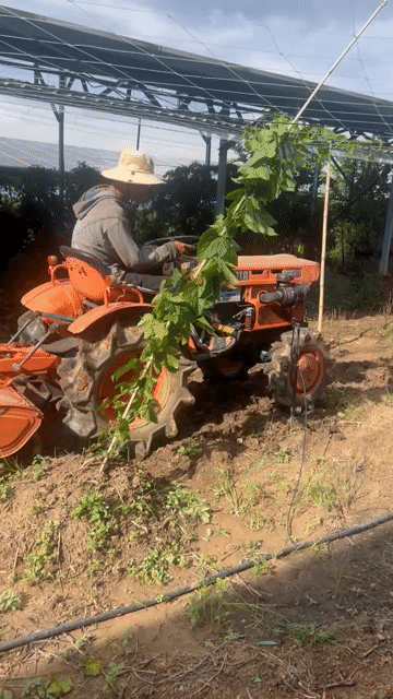 Cần Bán Lại Máy Cày KUBOTA B7001 2 Cầu. Mua bán Đồ chuyên dụng, Giống nuôi trồng tại Huyện Ea Súp Đắk Lắk được đăng bởi Nguyễn Hữu Đức hình 1