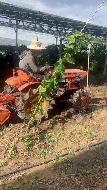 Cần Bán Lại Máy Cày KUBOTA B7001 2 Cầu. Mua bán Đồ chuyên dụng, Giống nuôi trồng tại Huyện Ea Súp Đắk Lắk được đăng bởi Nguyễn Hữu Đức hình 1