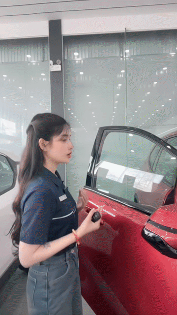 VinFast Limo Green - Đưa trước 70tr nhận xe. Mua bán Ô tô tại Huyện Bình Chánh Tp Hồ Chí Minh được đăng bởi Tâm VinFast HCM hình 1