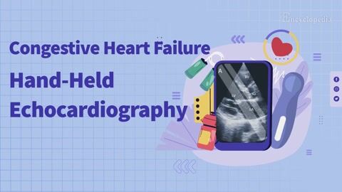 Encyclopedia-Hand-Held Echocardiography by Advanced Practice Providers
