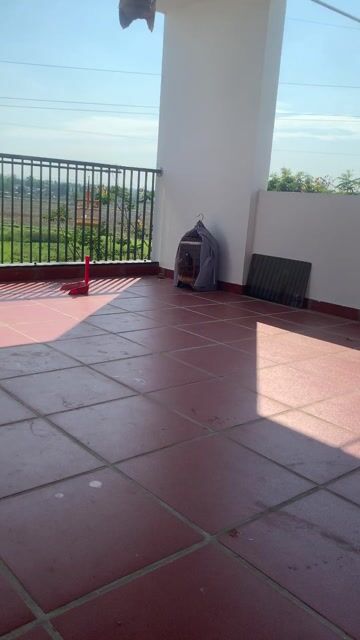 em cần ae bảo tồn ạ. Mua bán Chim tại Quận Cẩm Lệ Đà Nẵng được đăng bởi Đào Quảng hình 1
